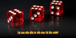 Tại sao nên đầu tư vốn cho Tài Xỉu vz99?