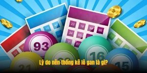 Lý do nên thống kê lô gan là gì? Lý do nên thống kê lô gan là gì?