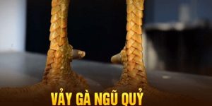 Giới thiệu về gà vảy ngũ quỷ