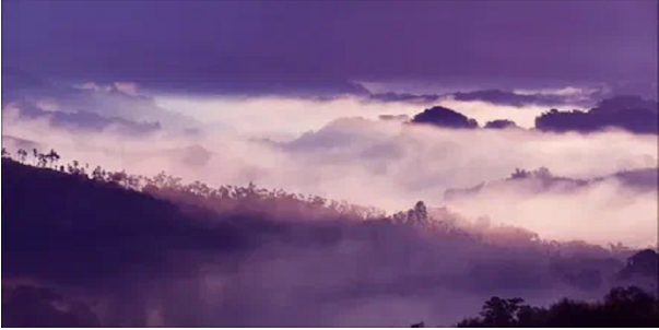 Quy trình thực hiện ảnh chuyển màu chuyên nghiệp