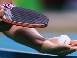 Bảng kèo bóng bàn cập nhật liên tục Bảng kèo bóng bàn cập nhật liên tục