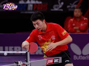 Cá cược bóng bàn 79Club kết nối với những nhà cung cấp uy tín Cá cược bóng bàn 79Club kết nối với những nhà cung cấp uy tín