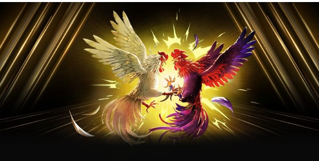 Các loại hình chọi gà phổ biến Các loại hình chọi gà phổ biến