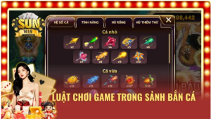 Các quy tắc cơ bản giúp người chơi nắm vững bắn cá Sunwin Các quy tắc cơ bản giúp người chơi nắm vững bắn cá Sunwin