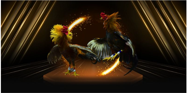 Đá gà cựa dao mang lại những trận đấu tốc độ và đầy mạo hiểm