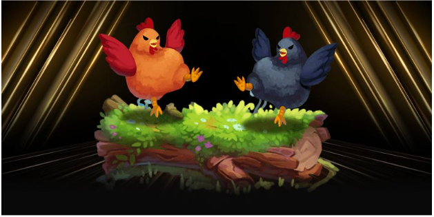 Đá gà không chỉ là trò chơi mà còn là nghệ thuật chiến thuật