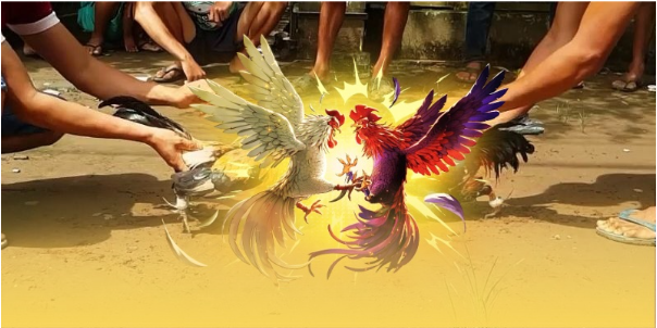 Khái quát về đá gà trực tiếp SV388 tại Việt Nam Khái quát về đá gà trực tiếp SV388 tại Việt Nam