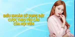 Những điều khoản sử dụng chung tại đá gà trực tiếp