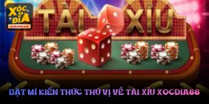 Bật mí kiến thức thú vị về tài xỉu xocdia88