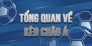 Cách đọc tỷ lệ kèo châu Á kèo nhà cái chi tiết từng bước Cách đọc tỷ lệ kèo châu Á kèo nhà cái chi tiết từng bước