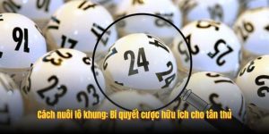 Cách nuôi lô khung: Bí quyết cược hữu ích cho tân thủ