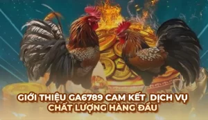 Ga6789 – Nền tảng giải trí đỉnh cao, nơi đam mê thăng hoa cùng vận may