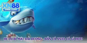 Hé lộ bí mật đại dương - Bắn cá xn88 có gì hot? Hé lộ bí mật đại dương - Bắn cá xn88 có gì hot?