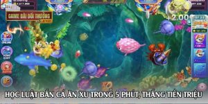 Học luật bắn cá ăn xu trong 5 phút, thắng tiền triệu