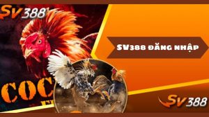 Mẹo đăng nhập hiệu quả – Giữ tài khoản SV388 luôn “xanh cỏ” Mẹo đăng nhập hiệu quả – Giữ tài khoản SV388 luôn “xanh cỏ”