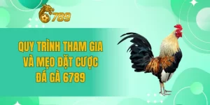 Quy trình tham gia và mẹo đặt cược đá gà 6789 Quy trình tham gia và mẹo đặt cược đá gà 6789