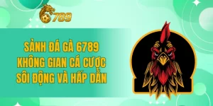 Sảnh đá gà 6789 - Không gian cá cược sôi động và hấp dẫn Sảnh đá gà 6789 - Không gian cá cược sôi động và hấp dẫn
