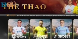 Tại sao Thể thao B8 lại thu hút đông đảo người chơi? Tại sao Thể thao B8 lại thu hút đông đảo người chơi?