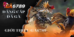 Ưu đãi hấp dẫn – Chơi vui thôi cũng có quà