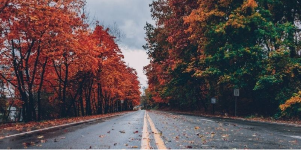 Vai trò của ảnh phong cảnh trong nghệ thuật nhiếp ảnh