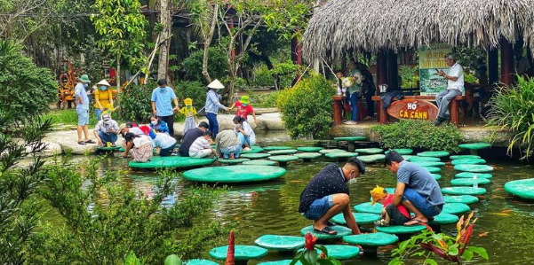 Sức hút của Ảnh đời thường trong cuộc sống hàng ngày