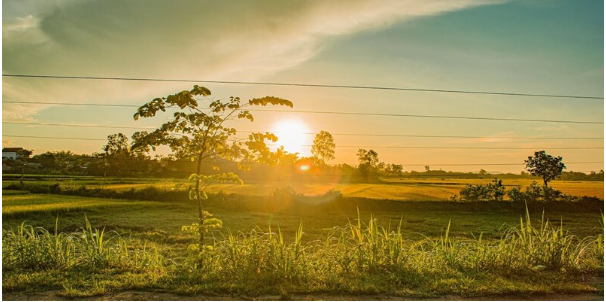 Ảnh Chụp Bằng Iphone Và Xu Hướng Nhiếp Ảnh Di Động