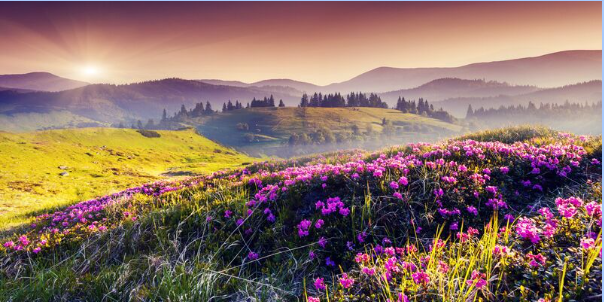 Kinh nghiệm chụp ảnh bằng máy ảnh du lịch hiệu quả