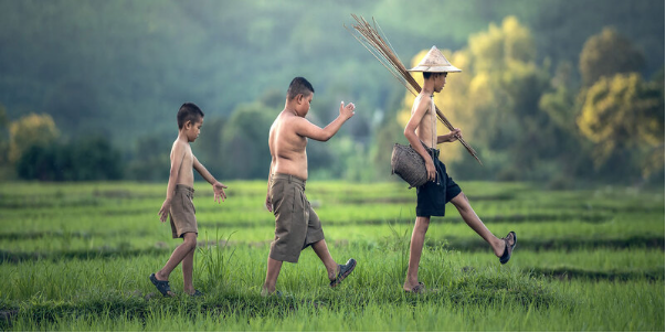 Xu hướng phát triển của ảnh chụp bằng iPhone