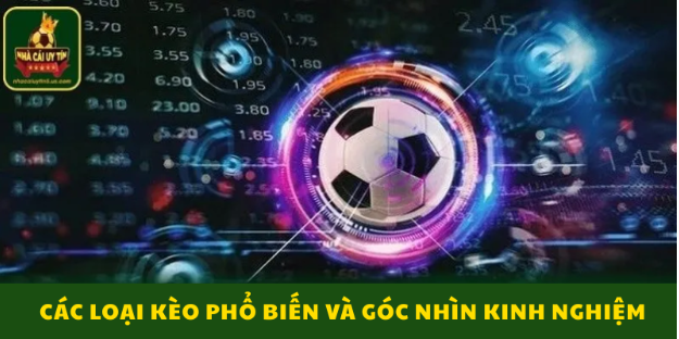 Các loại kèo phổ biến và góc nhìn kinh nghiệm