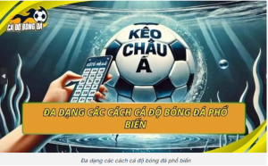 Cá độ bóng đá cho người mới