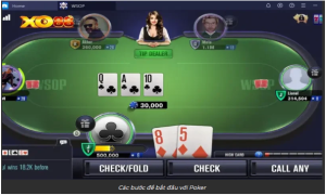 Cách bắt đầu cho người mới Cách bắt đầu cho người mới