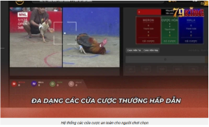 Chọn cửa theo pha giao tranh Chọn cửa theo pha giao tranh