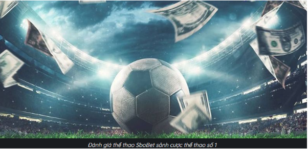 Khung vào cửa theo loại thị trường Khung vào cửa theo loại thị trường