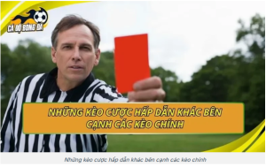 Kỷ luật đặt cược