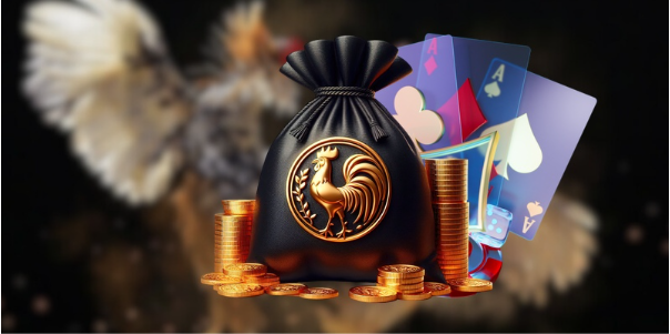 Nội dung phát sóng phong phú mỗi ngày