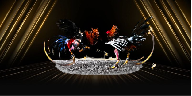 Phân tích phong độ và lịch sử thi đấu