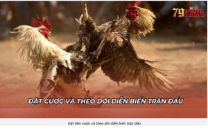 Quản vốn kỷ luật như chiếc phanh Quản vốn kỷ luật như chiếc phanh