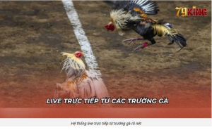 Tình huống mẫu một Tình huống mẫu một