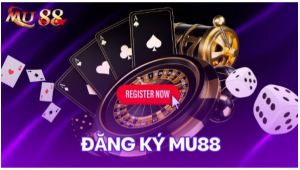 Trải nghiệm tài khoản