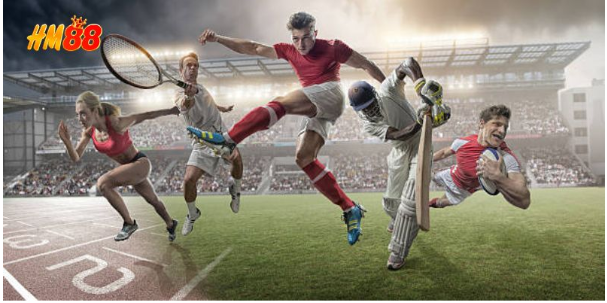 Tỷ lệ và cách hiển thị tại HM88