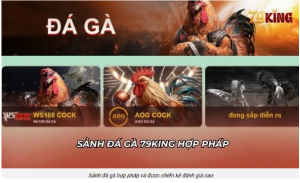 Vì sao nhịp trận quan trọng hơn Vì sao nhịp trận quan trọng hơn