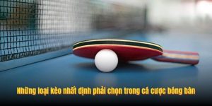 Những loại kèo nhất định phải chọn trong cá cược bóng bàn Những loại kèo nhất định phải chọn trong cá cược bóng bàn