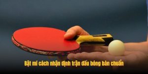 Bật mí cách nhận định trận đấu bóng bàn chuẩn Bật mí cách nhận định trận đấu bóng bàn chuẩn