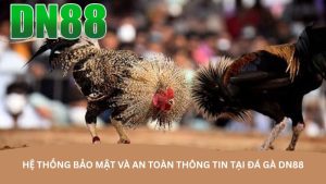 Hệ thống bảo mật và an toàn thông tin tại đá gà DN88