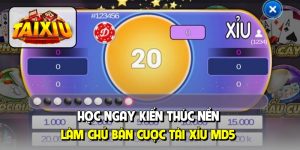 Học ngay kiến thức nền, làm chủ bàn cược tài xỉu MD5