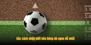 Các cách nhận biết kèo bóng đá ngon dễ nhất Các cách nhận biết kèo bóng đá ngon dễ nhất