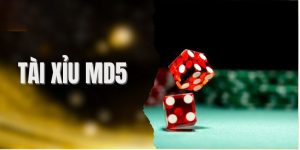 Mẹo kiểm tra để chọn đúng trang MD5 Mẹo kiểm tra để chọn đúng trang MD5