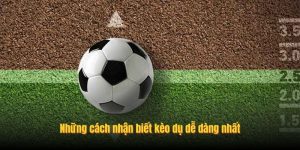 Những cách nhận biết kèo dụ dễ dàng nhất