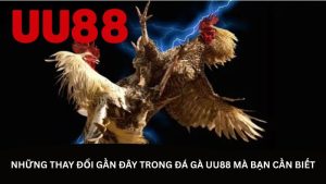 Những thay đổi gần đây trong đá gà UU88 mà bạn cần biết Những thay đổi gần đây trong đá gà UU88 mà bạn cần biết