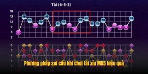 Phương pháp soi cầu khi chơi tài xỉu MD5 hiệu quả